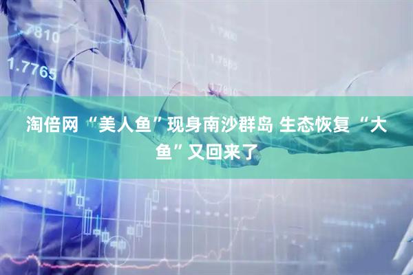 淘倍网 “美人鱼”现身南沙群岛 生态恢复 “大鱼”又回来了