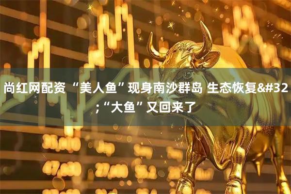 尚红网配资 “美人鱼”现身南沙群岛 生态恢复 “大鱼”又回来了