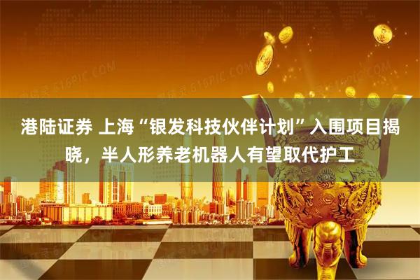 港陆证券 上海“银发科技伙伴计划”入围项目揭晓，半人形养老机器人有望取代护工