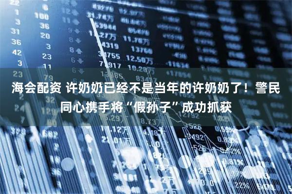 海会配资 许奶奶已经不是当年的许奶奶了！警民同心携手将“假孙子”成功抓获