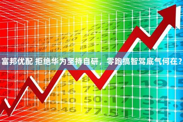 富邦优配 拒绝华为坚持自研，零跑搞智驾底气何在？