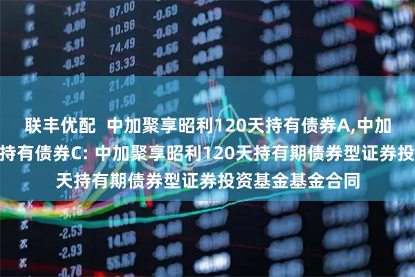 联丰优配  中加聚享昭利120天持有债券A,中加聚享昭利120天持有债券C: 中加聚享昭利120天持有期债券型证券投资基金基金合同