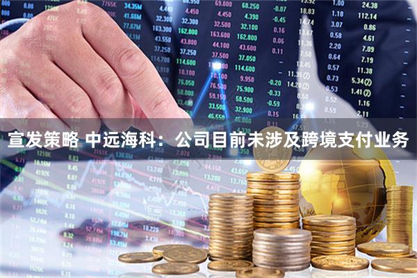 宣发策略 中远海科：公司目前未涉及跨境支付业务
