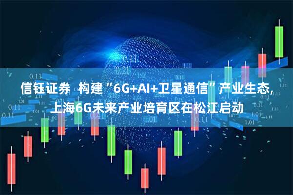 信钰证券  构建“6G+AI+卫星通信”产业生态,上海6G未来产业培育区在松江启动